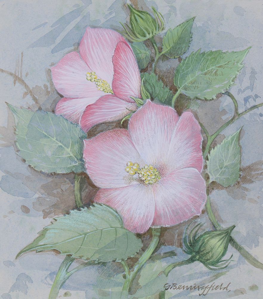 Appraisal: Gordon Beningfield - Rose Mallow W C Gordon Beningfield British