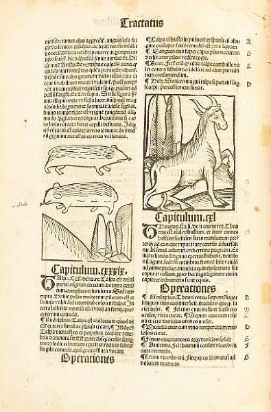 Appraisal: LEAF BOOKS EARLY PRINTINGS volumes Printed Pages from European Literature