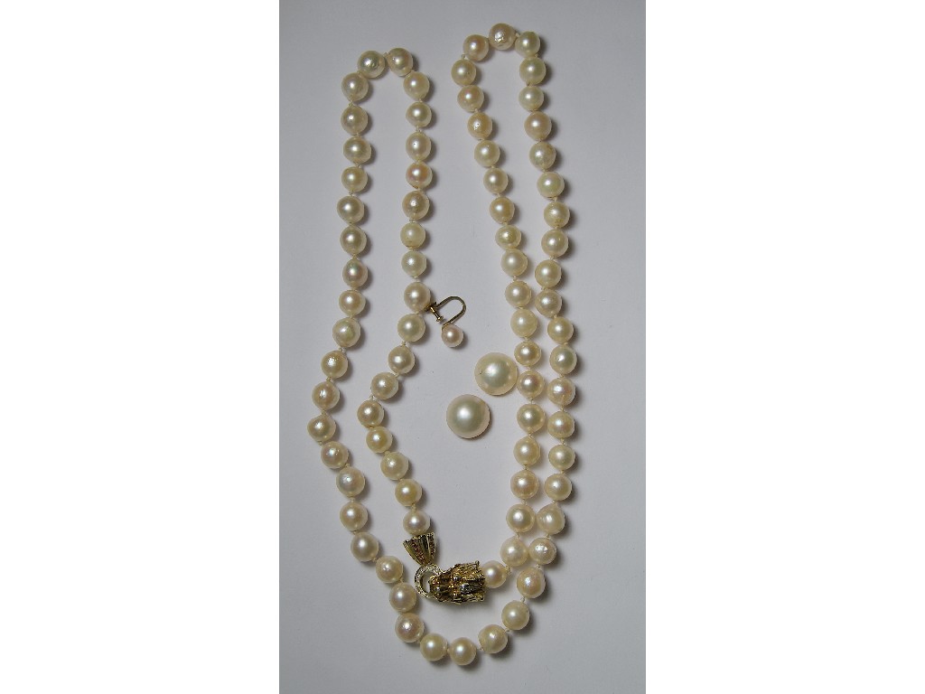 Appraisal: Long row of cultured pearls approx - mm dia on