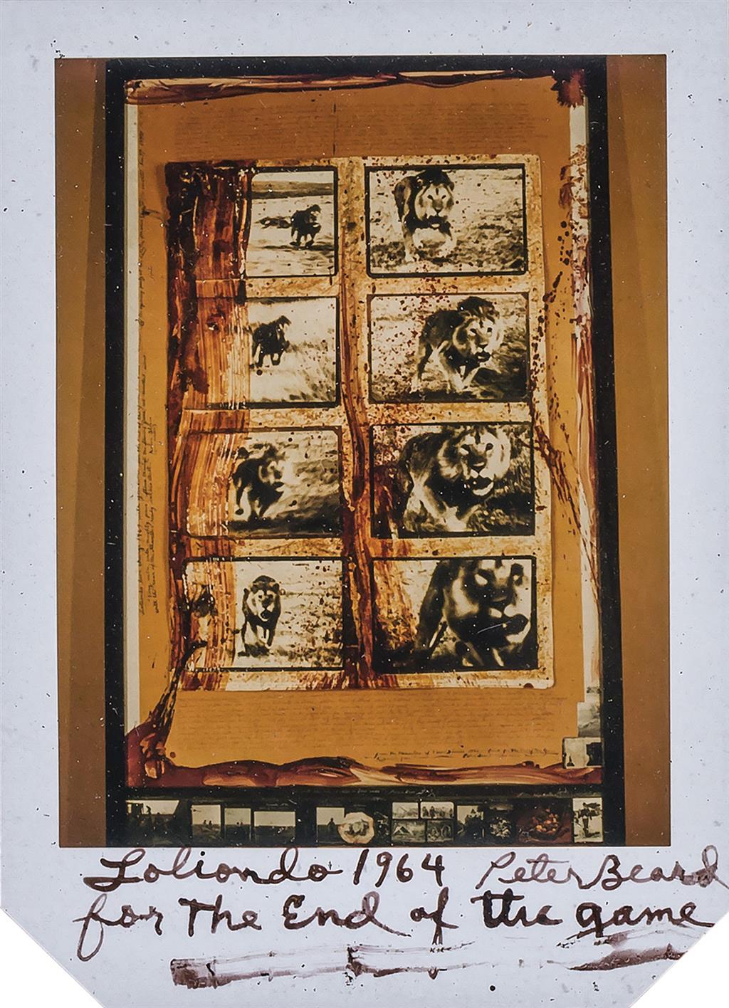 Appraisal: PETER BEARD American b Loliondo For the End of the