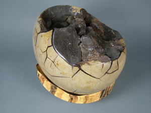 Appraisal: An unusually large septarian egg fossilised mud length cm and