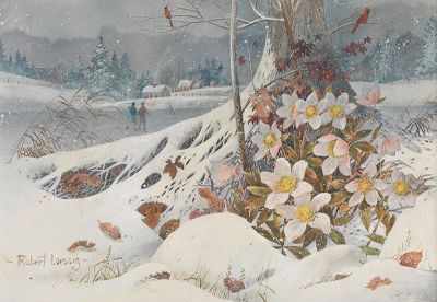 Appraisal: Robert Laessig American - Winter flowers Gouache on paper mounted