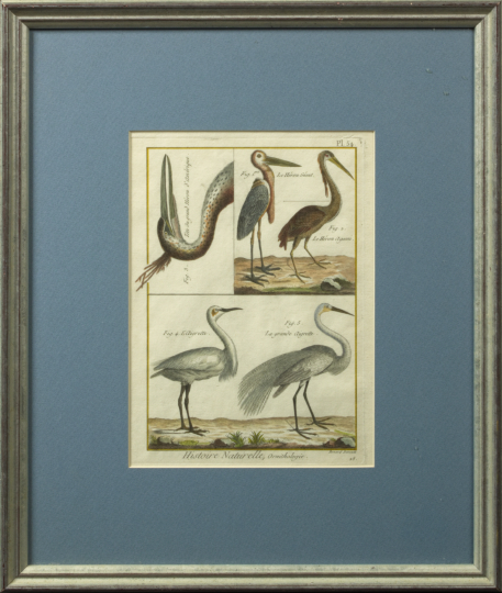 Appraisal: French School Third Quarter th Century Shore Birds a pair