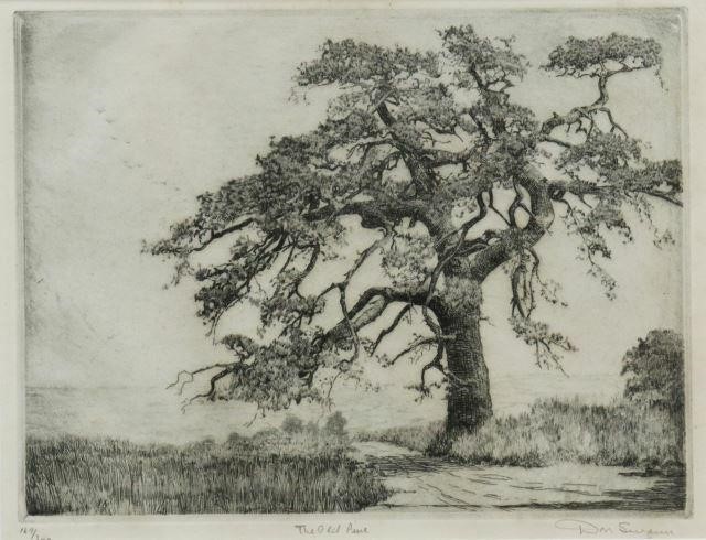 Appraisal: Framed etching on paper The Old Pine signed lower right