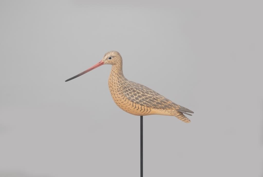 Appraisal: Eddie Wozny b Cambridge MD c in long A godwit