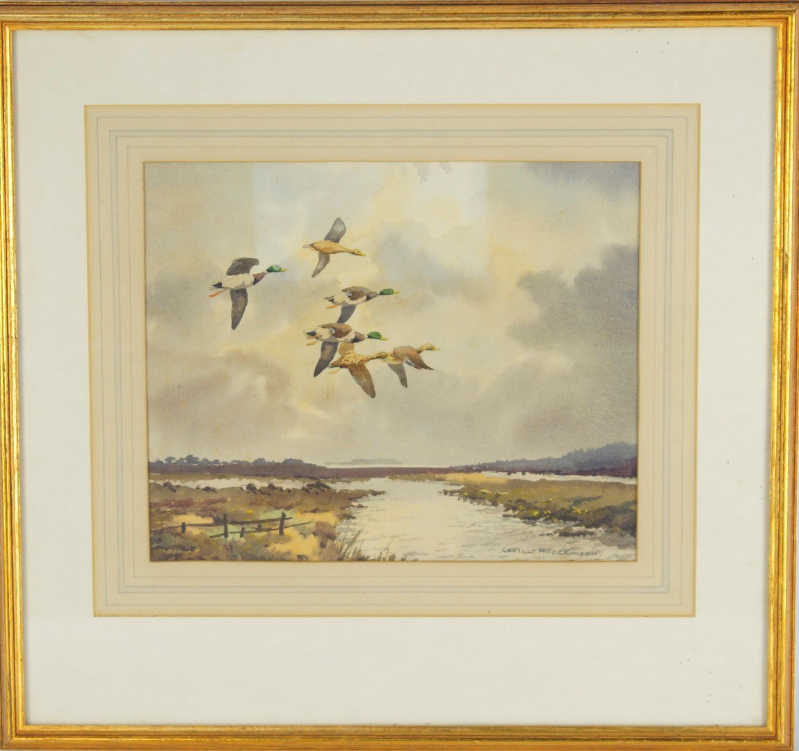 Appraisal: Cecil Thomas Hodgkinson - Flying mallards watercolour signed cm x