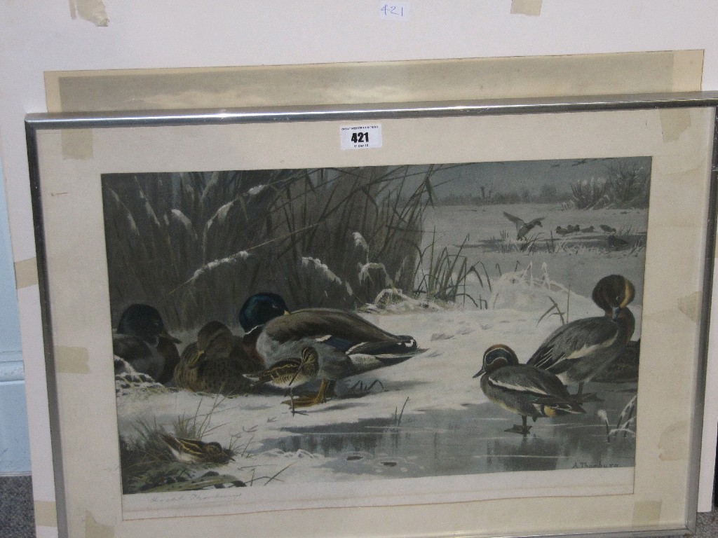 Appraisal: AFTER ARCHIBALD THORBURN two pencil signed prints