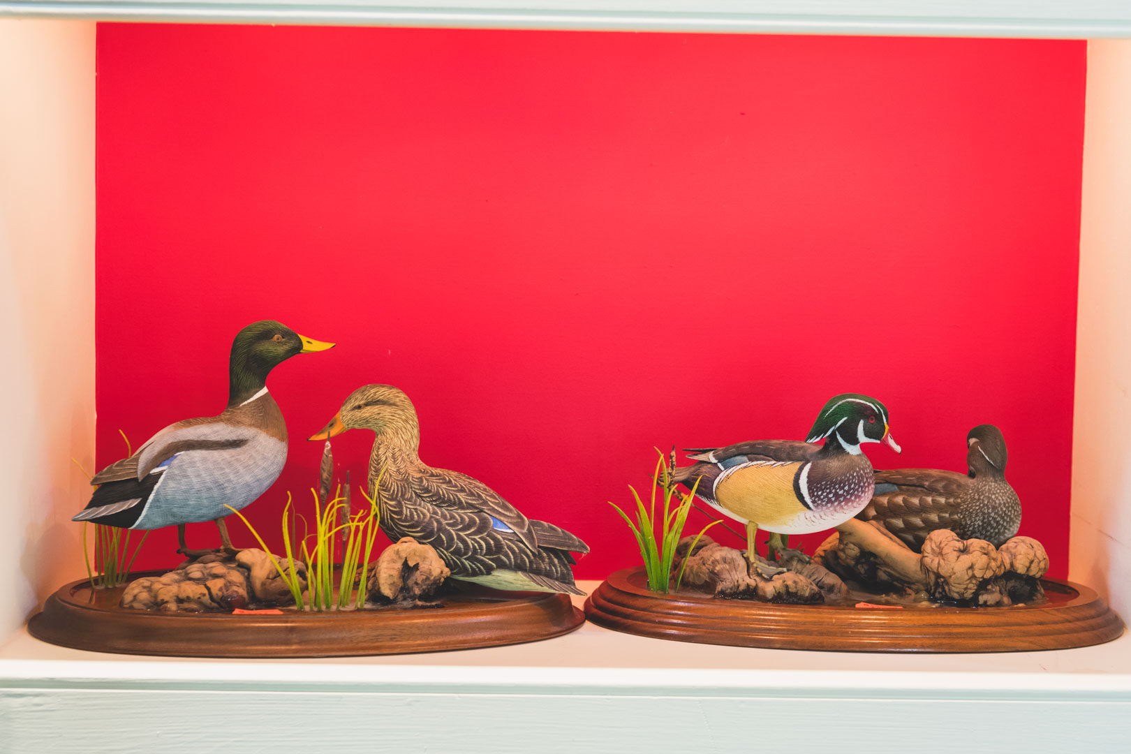 Appraisal: carved wood duck groups by Larry Tawes Sr including miniature