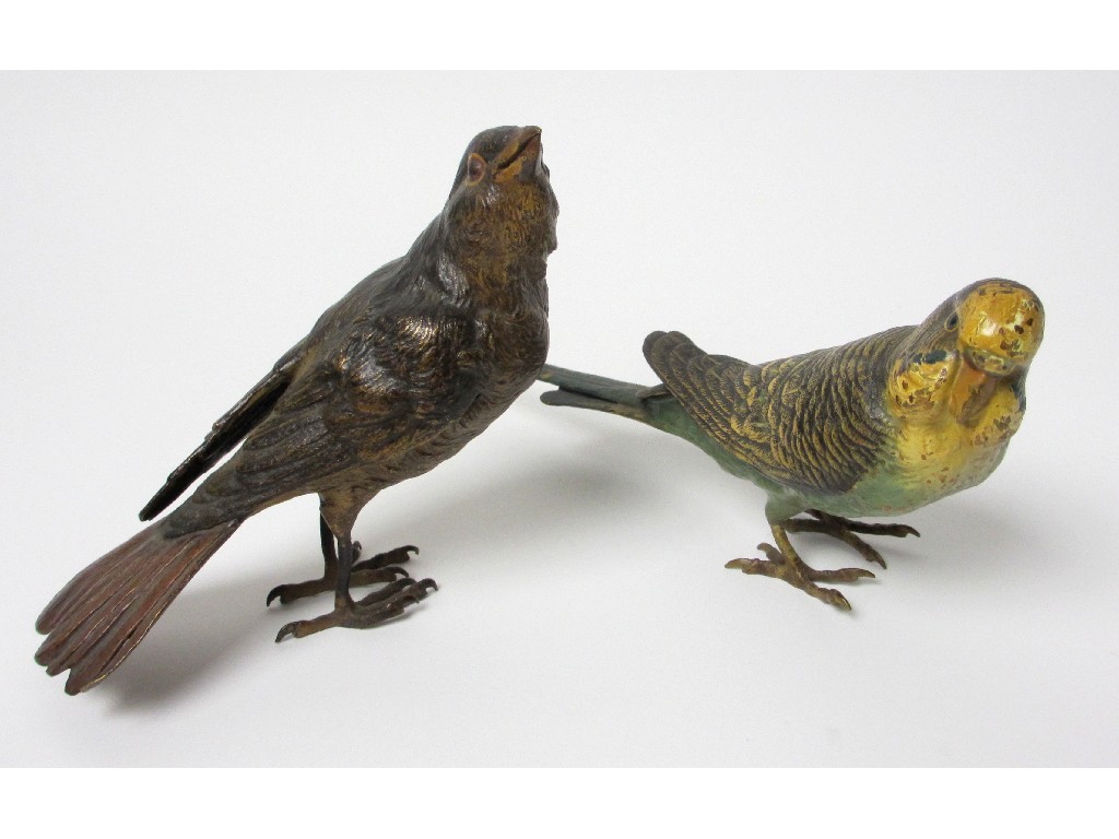 Appraisal: A cold painted bronze model of a budgerigar cm long