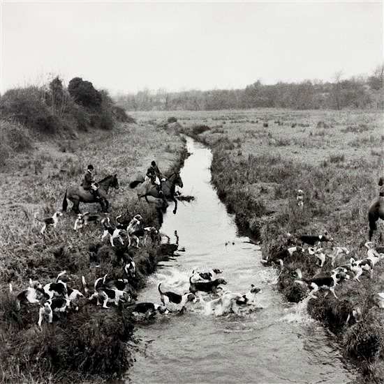 Appraisal: Two Works of Art depicting American Foxhounds Larger x inches