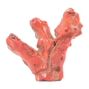 Appraisal: A Coral Specimen g Height x width inches