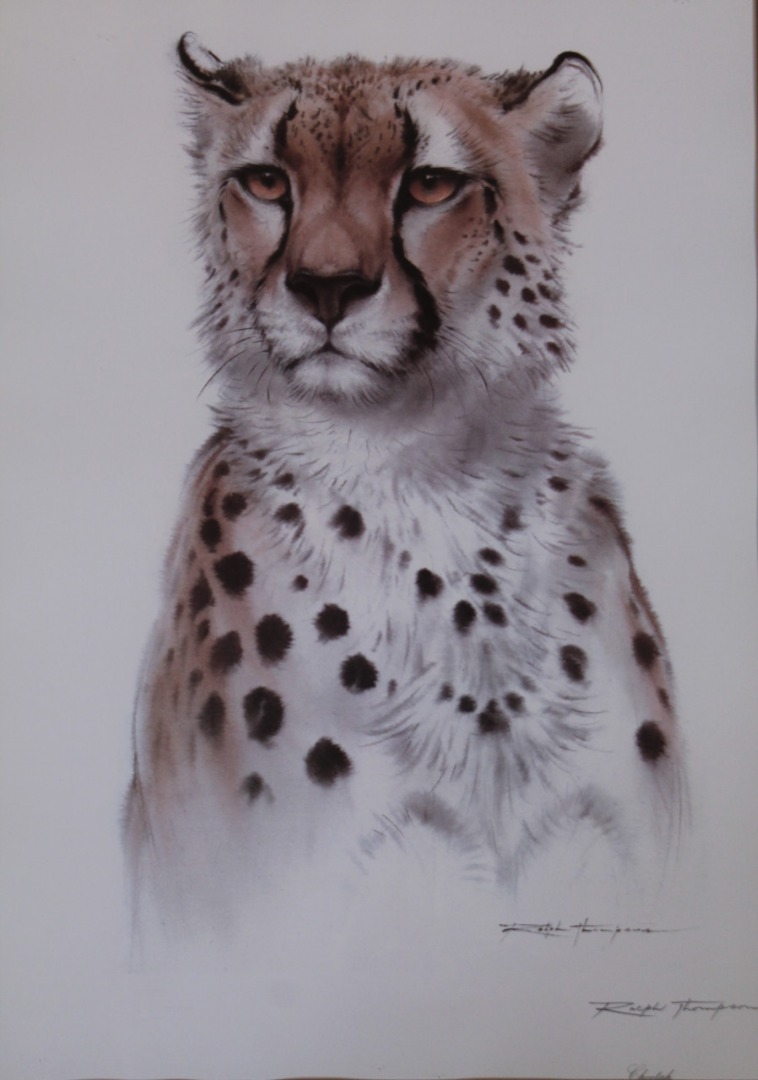 Appraisal: Ralph Thompson - Cheetah print signed cm x cm