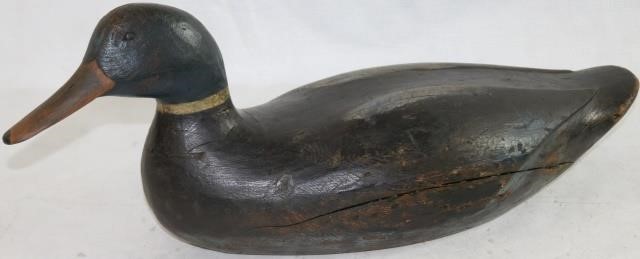 Appraisal: GUS WILSON SOUTH PORTLAND MAINE EARLY THCENTURY MALLARD DRAK WITH