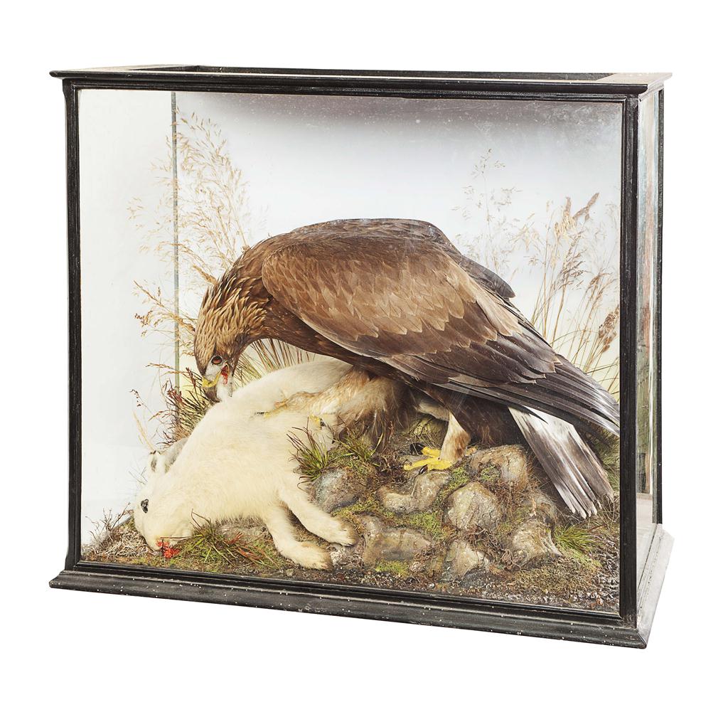 Appraisal: TAXIDERMY GROUP OF GOLDEN EAGLE AND DEAD HARE LATE TH