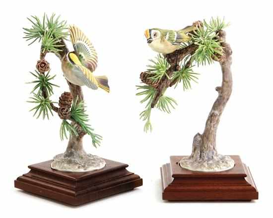 Appraisal: Pair Dorothy Doughty Goldcrest Regulus Cristatus and Larch circa with