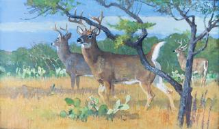 Appraisal: South Texas Whitetails by Bob Kuhn Bob Kuhn - acrylic