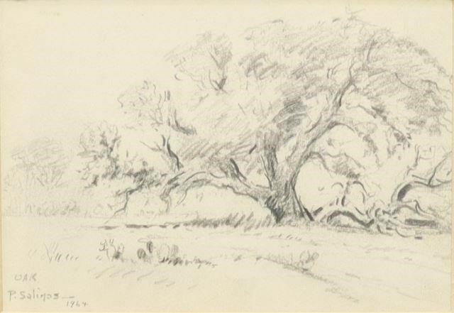 Appraisal: Framed pencil drawing on paper Oak signed lower left Porfirio