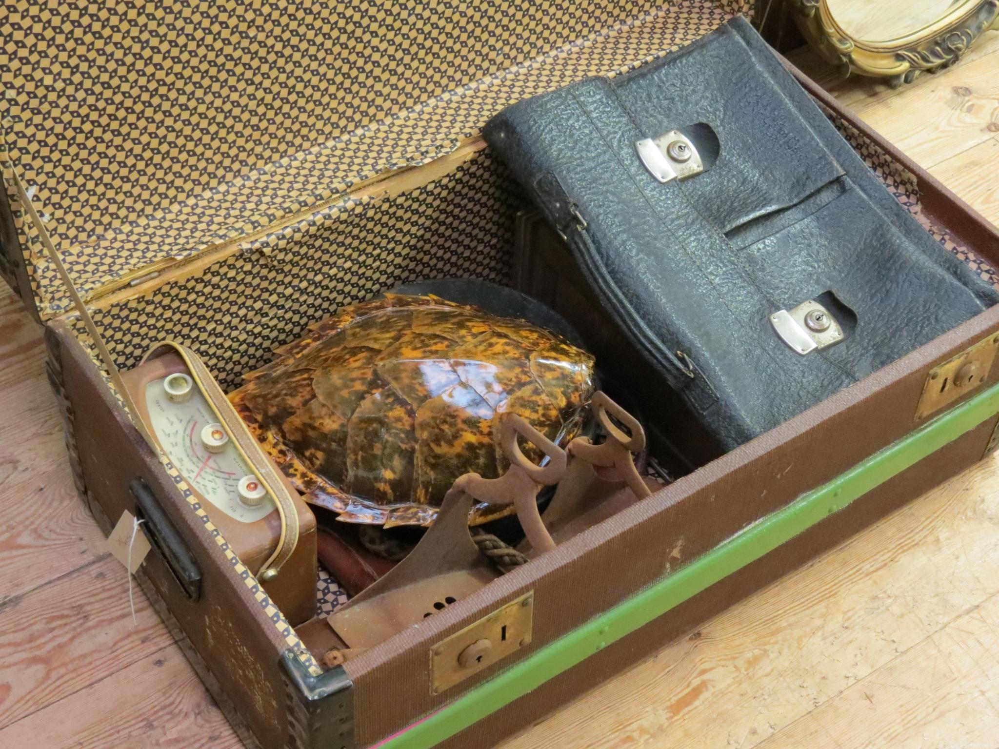 Appraisal: A marine turtle shell in two leather briefcases carved cupboard