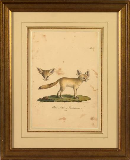 Appraisal: German School th Century Foxes pair of hand-colored bookplate engravings