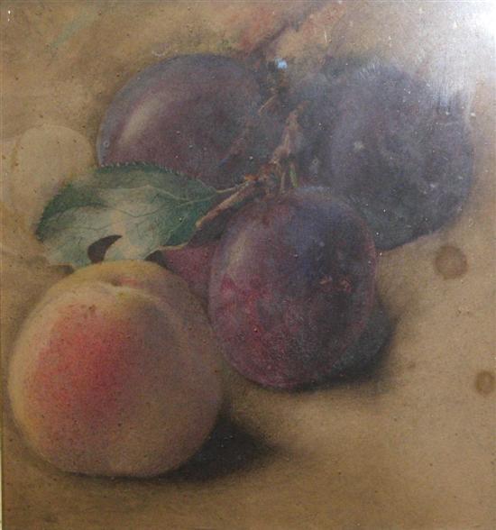 Appraisal: Still-life of peach and plums unsigned watercolour h w in