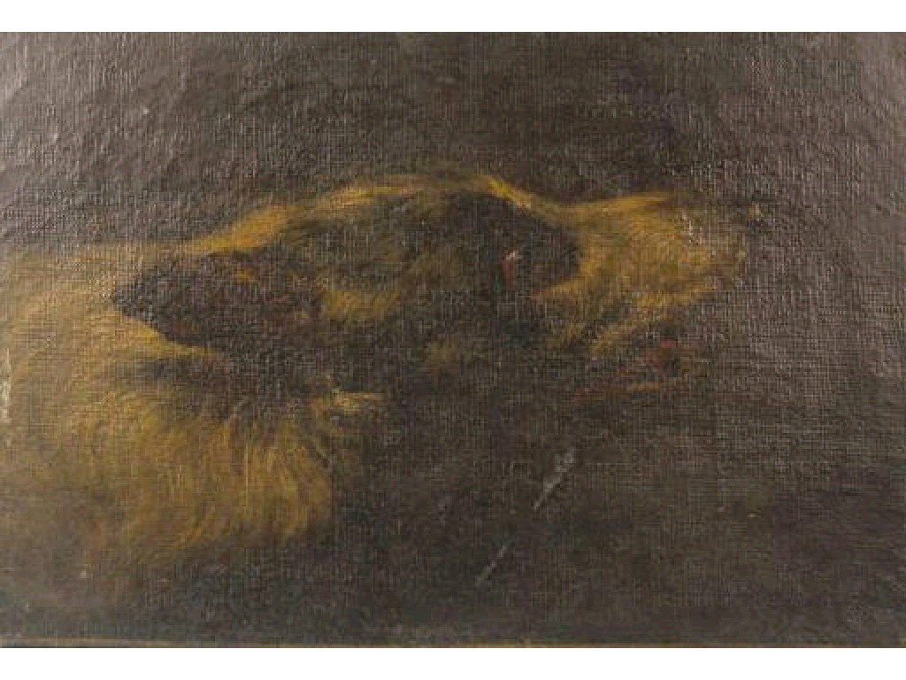 Appraisal: FLEMISH SCHOOL th CENTURY Head of a Dog oil on