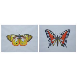 Appraisal: Two Hand-painted gouache on silk screen paintings of Butterflies Unsigned