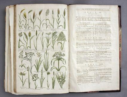 Appraisal: JOHN HILL THE BRITISH HERBAL A HISTORY OF PLANTS AND