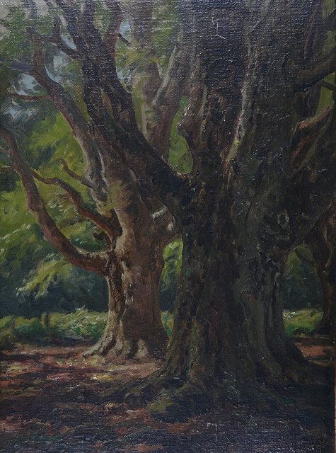 Appraisal: FREDERICK GOLDEN SHORT - A wooded forest oils on canvas