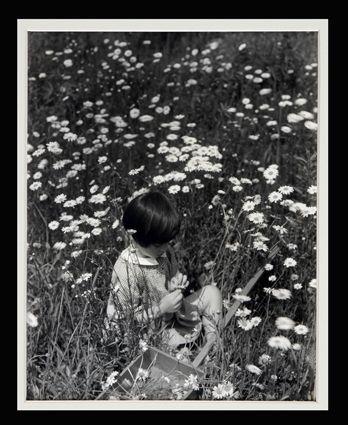 Appraisal: EDWARD STEICHEN - NELL IN A DAISY FIELD Photograph x