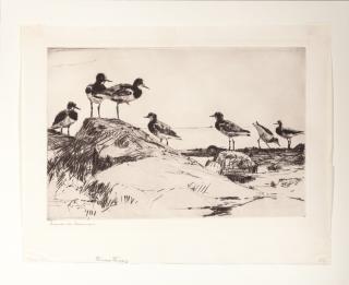 Appraisal: Frank W Benson Turnstones signed Frank W Benson lower leftdrypoint