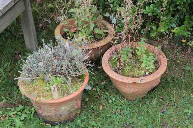 Appraisal: A GROUP OF THREE SMALL WHICHFORD POTTERY TERRACOTTA POTS