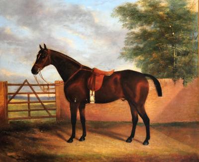 Appraisal: JAMES CLARKE Portrait of a Saddled Bay Horse in a