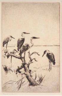 Appraisal: Frank W Benson Herons at Rest signed Frank W Benson