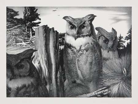 Appraisal: STOW WENGENROTH Three lithographs Five Owls Edition of Signed and