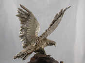 Appraisal: A white metal tests silver model of an eagle wings