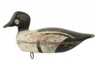 Appraisal: MID-CENTURY WHITNEY WORKING DECOY Turned Head Hollow Body Common Goldeneye