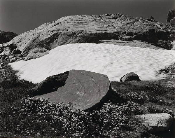 Appraisal: Edward Weston American - Bryanthus High Sierras Gelatin silver print