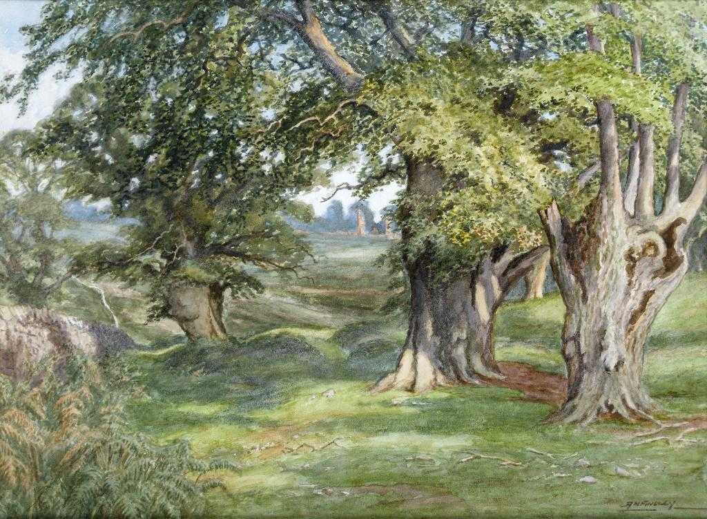 Appraisal: ALBERT HENRY FINDLEY - BRADGATE PARK LEICESTERSHIRE signed watercolour x