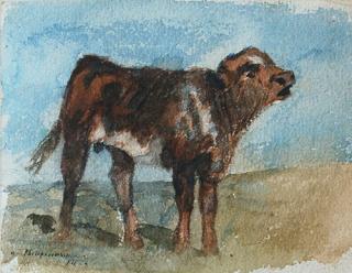 Appraisal: Calf by Philip R Goodwin Philip Goodwin - Calf watercolor