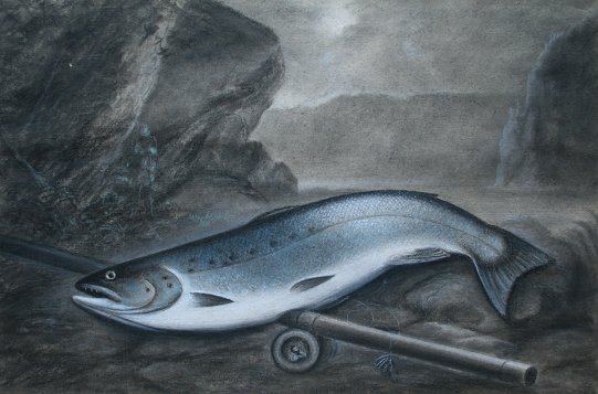 Appraisal: TH C PASTEL OF A SALMON WITH FLY ROD ''