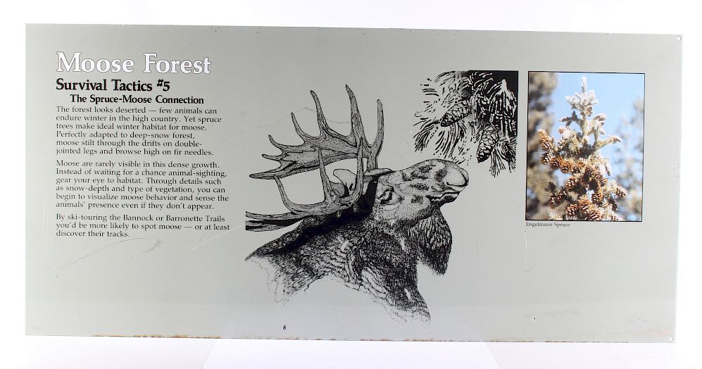 Appraisal: Porcelain Enamel Yellowstone Park Moose Info Sign Included in this