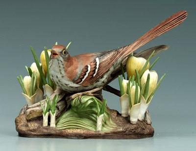 Appraisal: Boehm bird figurine male brown thrasher with crocus black printed