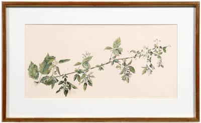 Appraisal: Hubert Shuptrine original watercolor Chattanooga Tennessee - quot Blackberry Branch