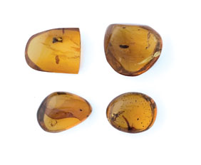 Appraisal: FOUR AMBER NUGGETS Miocene Chiapas Mexico Each specimen is very