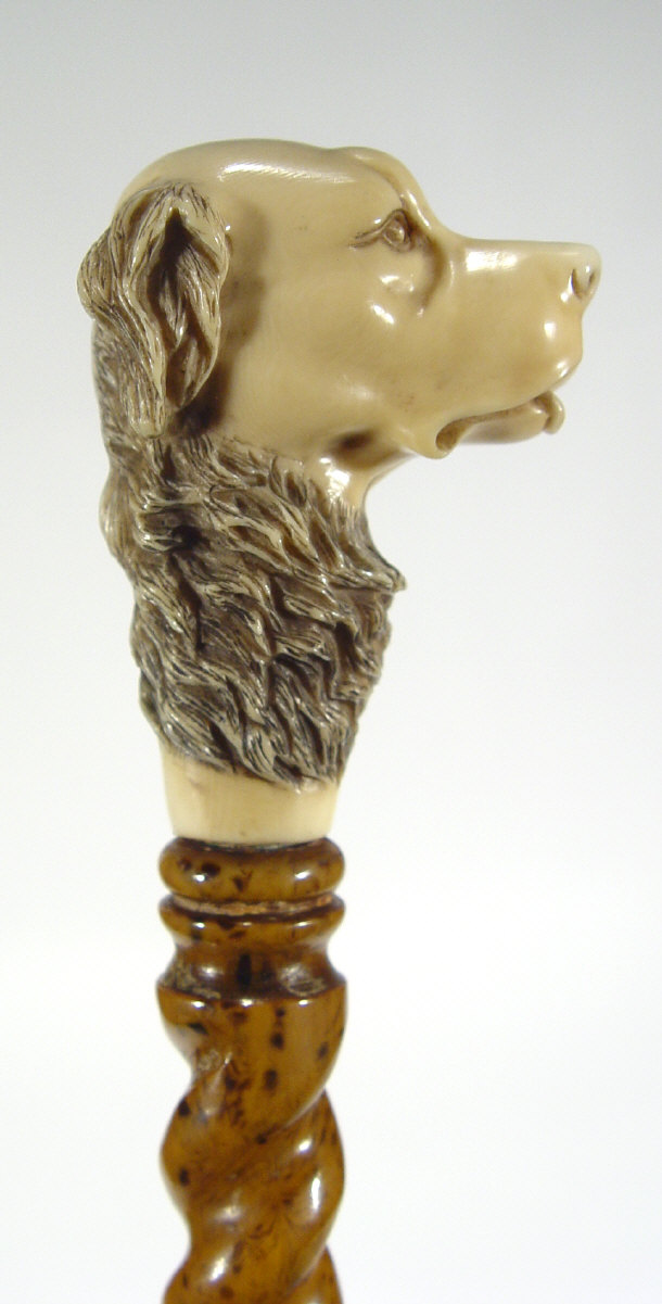 Appraisal: Walking cane with well carved ivory dog's head handle barley