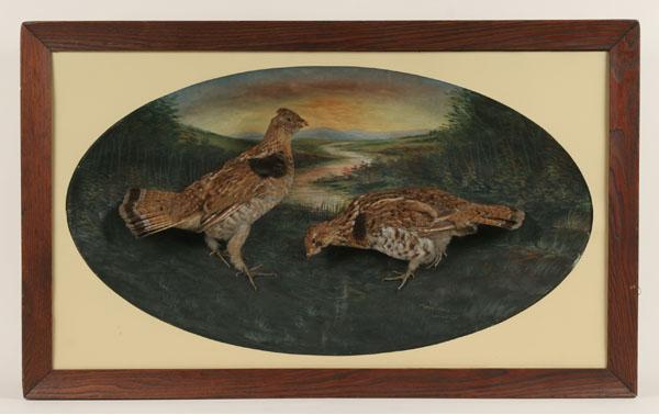 Appraisal: Framed diorama two game birds mounted in oval shaped marsh