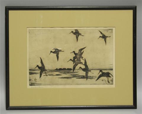 Appraisal: FRANK W BENSON YELLOW-LEGGED DUCK Etching x in Framed lower