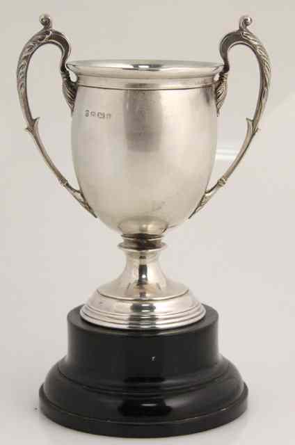 Appraisal: A silver twin-handled trophy cup W N Ltd Birmingham on