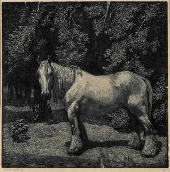 Appraisal: LIONEL LINDSAY - The White Horse wood engraving ed x