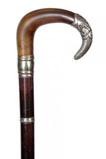 Appraisal: Victorian Horn Dress Cane- Ca - A nice curved horn